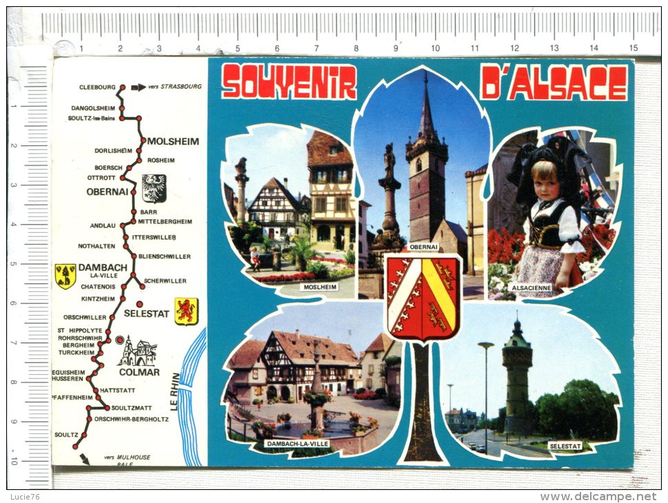 ALSACE  -  Souvenir   -  Circuit Et Multi Vues - Alsace