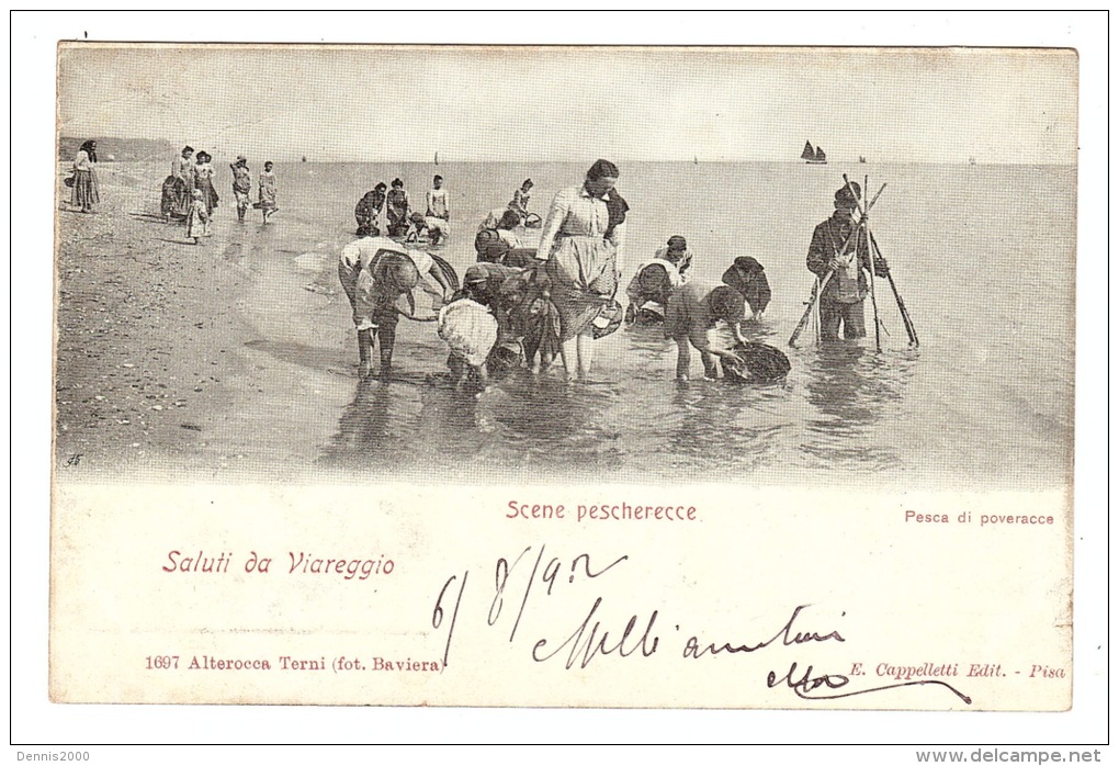 Saluti Da Viareggio - Scene Pescherecce - Pesca Di Poveracce - PËCHE - Ed. E. Cappelletti, Pisa - Viareggio