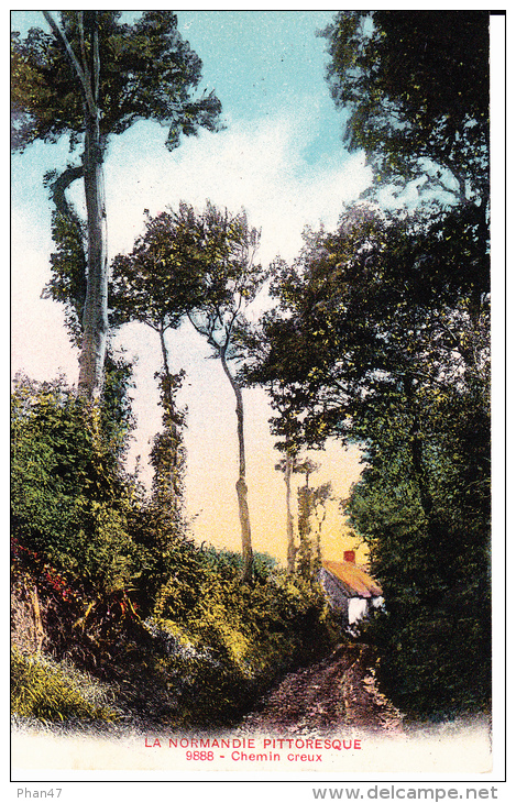 NORMANDIE ,chemin Creux, Ferme, Coucher De Soleil - Farms