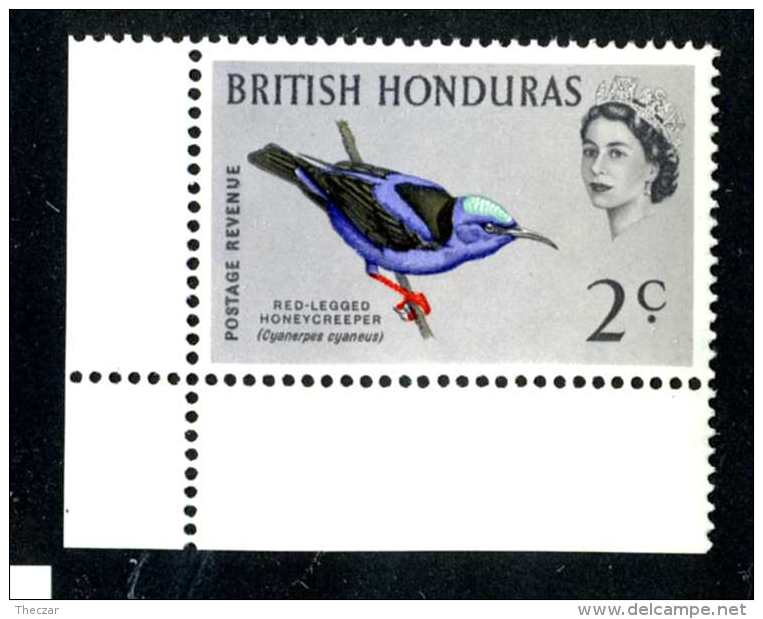 6197-x  Br Honduras 1962  SG #203 ~mnh** Offers Welcome! - Honduras Británica (...-1970)