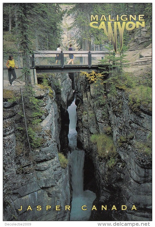 BT16471 Jasper Maligne Canyon  2 Scans - Jasper