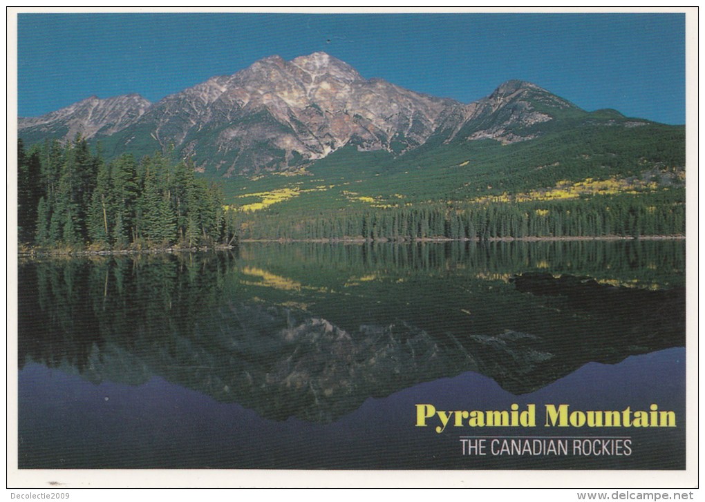 BT16550 Pyramid Mountain Jasper  2 Scans - Jasper