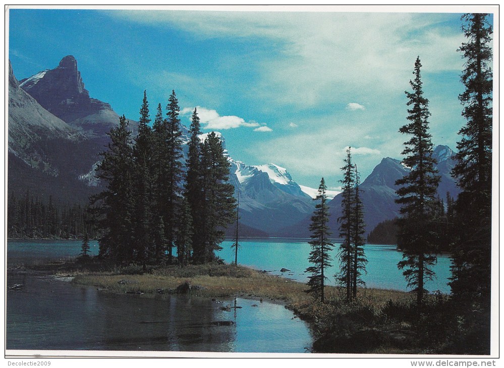 BT16564 Maligne Lake Jasper National Park  2 Scans - Jasper