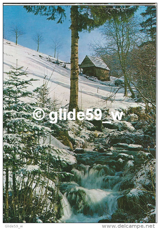 Winter Im Schwarzwald - N° L-538 - Hochschwarzwald