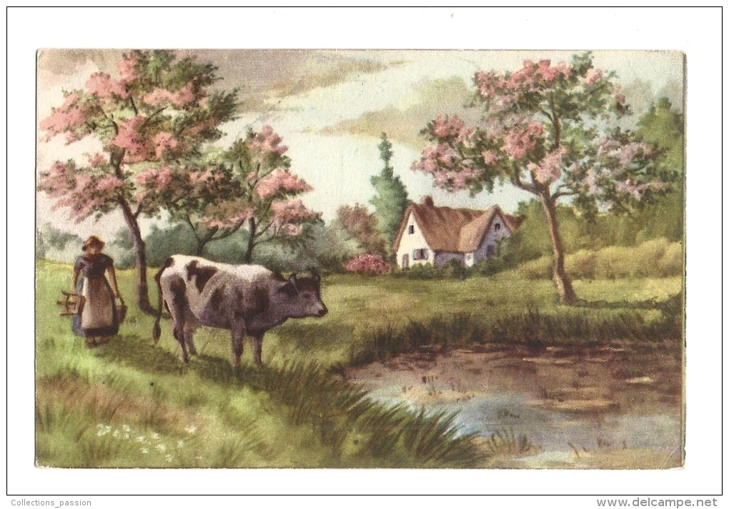 Cp, Agriculture, Elevage, Vache - Viehzucht