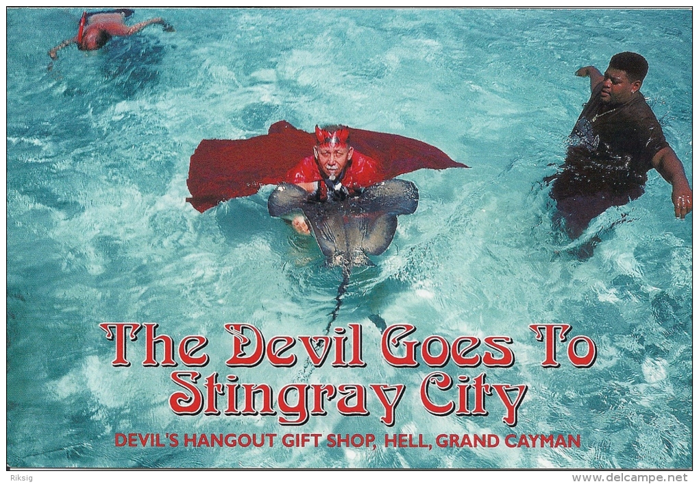 The Devil Goes To Stingray City   Grand  Cayman   B.W.I.  A-3059 - Caïman (Iles)
