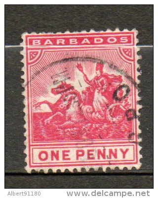 BARBADE  Britania 1p Rose  1892 N°51 - Barbados (...-1966)