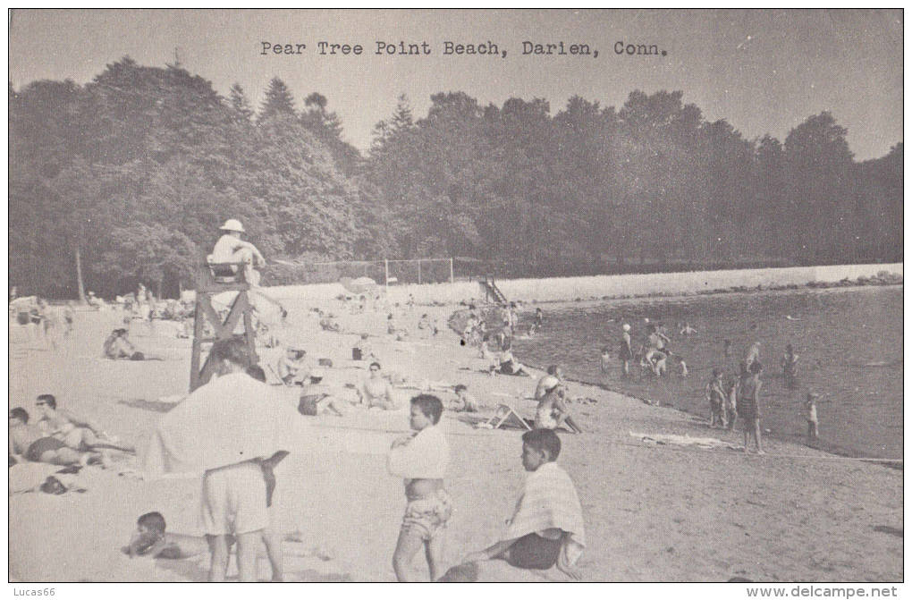 C1950 DARLEN PEAR TREE POINT BEACH - Other & Unclassified