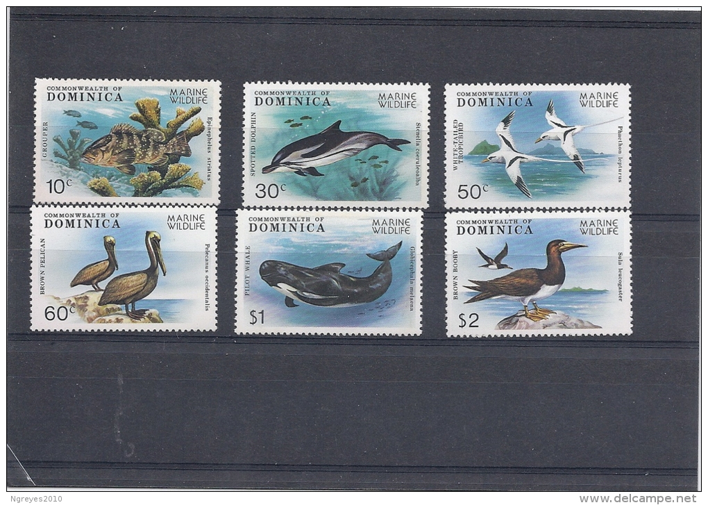 131008312   DOMINICA  YVERT  Nº  478/84  **/MNH - Dominica (...-1978)