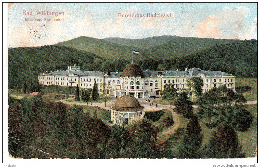 Allemagne-Bad Wildungen (Kassel -Hesse)-1911-Blick Vom Fürstenhof-Fürstliches Badehotel - Bad Wildungen