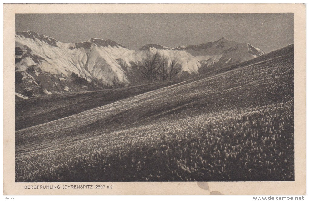 SCHIERS   BERGFRÜLING - Schiers