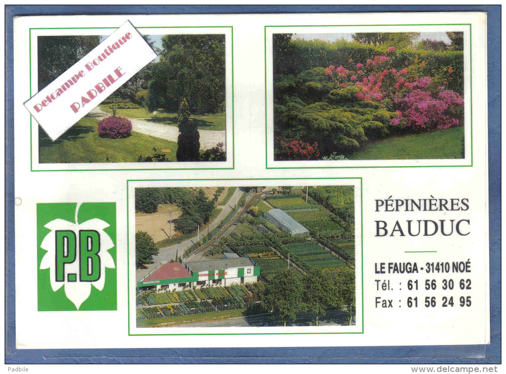 Carte Postale 31. Noé Le Fauga  La Pépinière BAUDUC  Trés Beau Plan - Autres & Non Classés