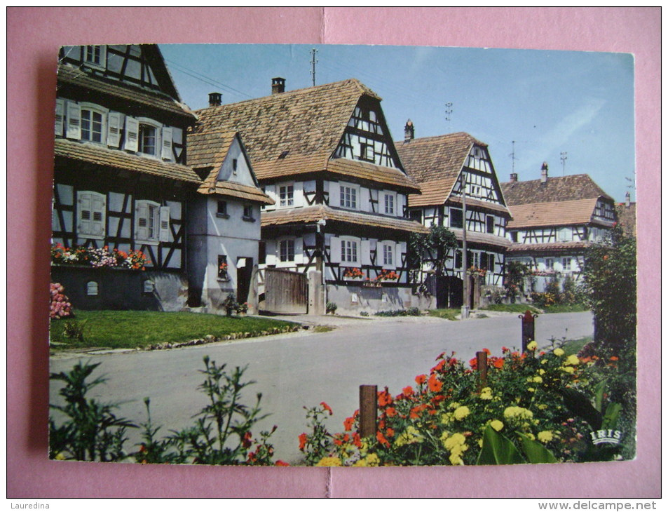 CPM  OBERSEEBACH N°67.351.04 VILLAGE FLEURI - Sonstige & Ohne Zuordnung