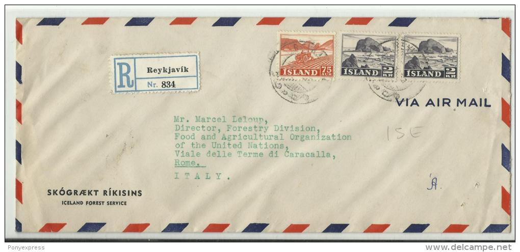 Lettre Recommandée De Iceland Forest Service Pour La FAO à Rome De 1953 - Briefe U. Dokumente