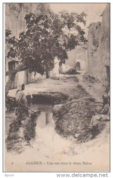 .BISKRA ( Une Rue Dans Le Vieux Biskra ) - Biskra