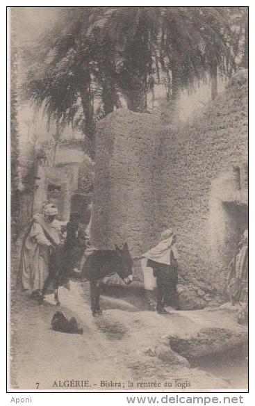 BISKRA ( La Rentree Au Logis ) - Biskra