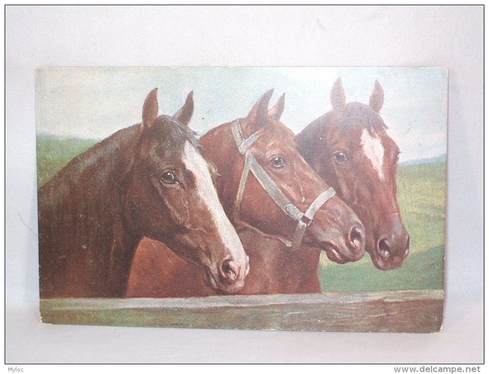 Illustrateur. Chevaux. - 1900-1949