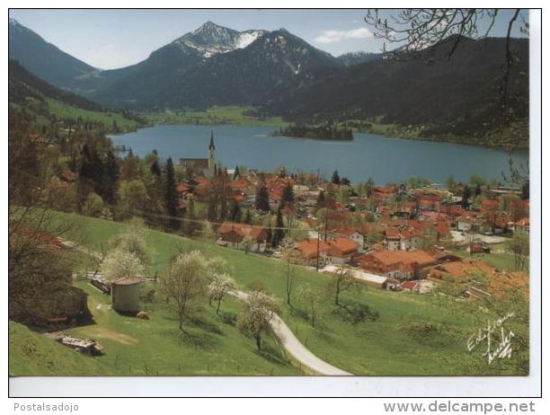 (DE619) SCHLIERSEE - Schliersee