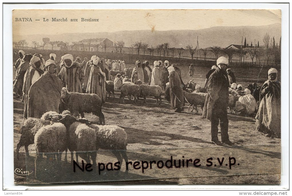 - BATNA - Le Marché Aux Bestiaux, Moutons, écrite, Années 1930, Peu Courante, 2 Jolis Timbres, BE, Scans. état. - Batna