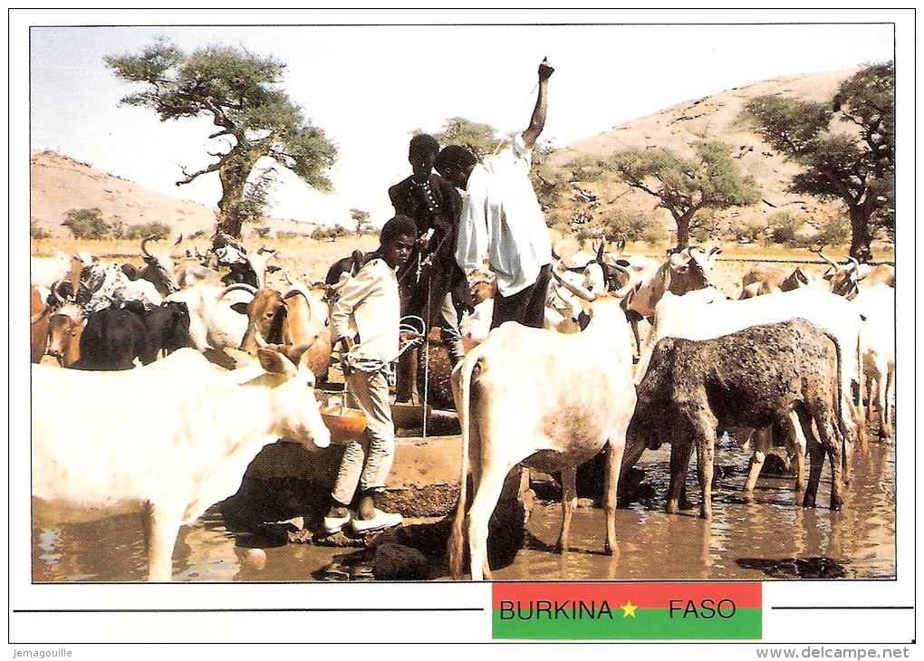 BURKINA FASO - PROVINCE DE SOUM - Un Abreuvoir à Arbinda - C-3 - Burkina Faso