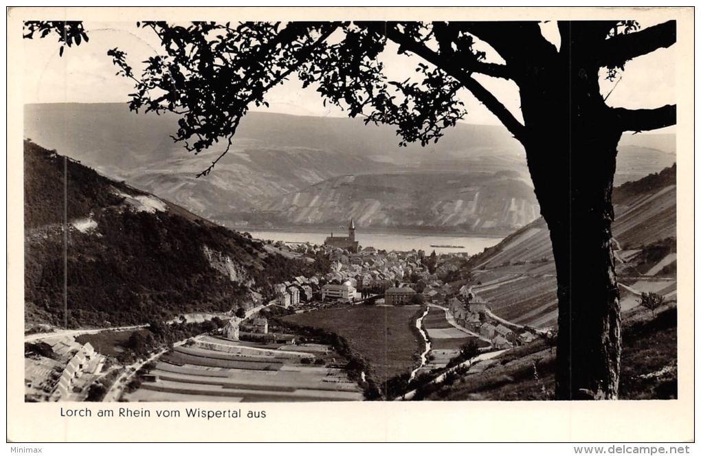 Carte Photo - Lorch Am Rheim Vom Wispertal Aus, 1955 - Lorsch