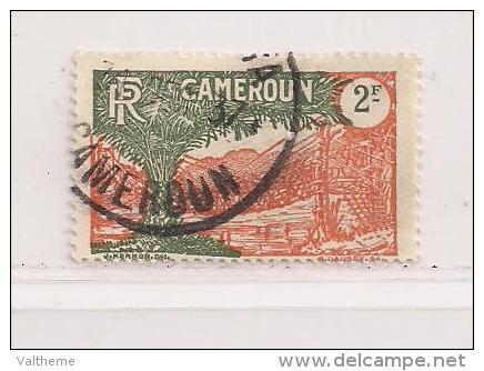 CAMEROUN   ( FRCAM - 12 )  1925    N° YVERT ET TELLIER    N° 129 - Used Stamps