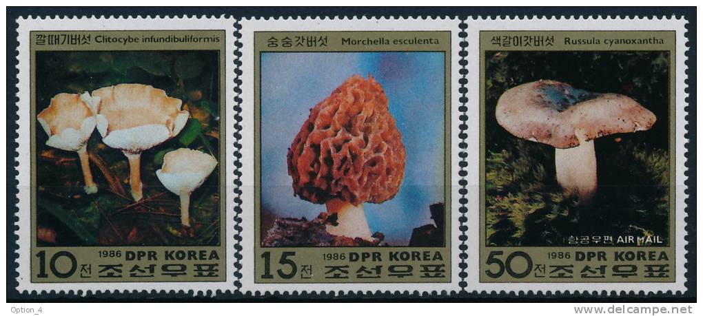 Korea Sud Mushrooms Pilze Set (3) °BM0235 MNH - Paddestoelen