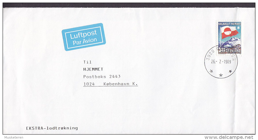 Greenland Luftpost Par Avion Label Deluxe QAQORTOQ 1989 Cover Brief To Denmark Flag Flagge Stamp - Lettres & Documents