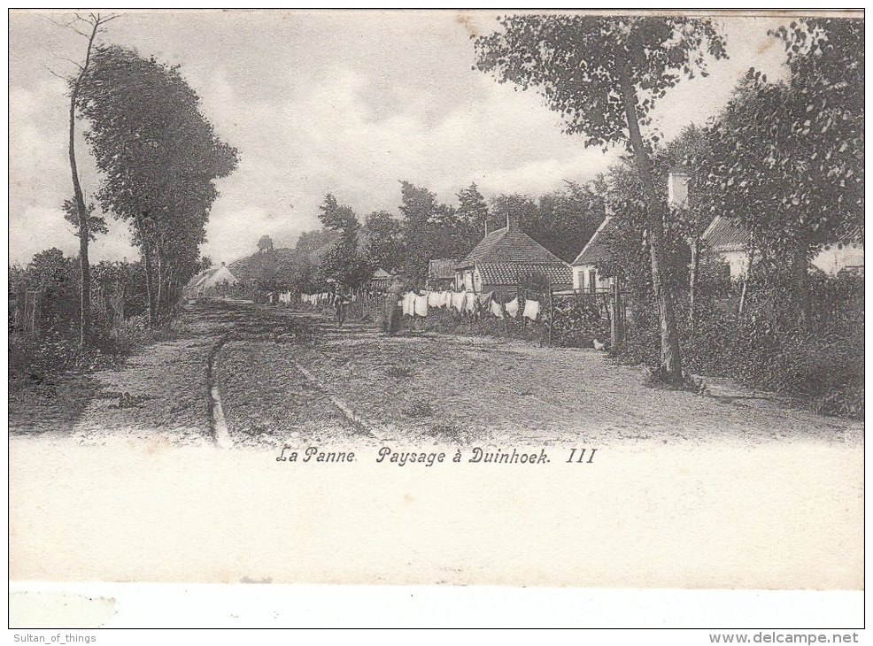 Cpa/pk 1905 La Panne De Panne Paysage à Duinhoek - De Panne