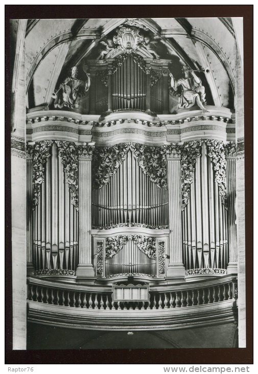 CPM Neuve Allemagne FREIBERG Die Grosse Silbermannorgel Orgue De La Cathédrale - Freiberg (Sachsen)