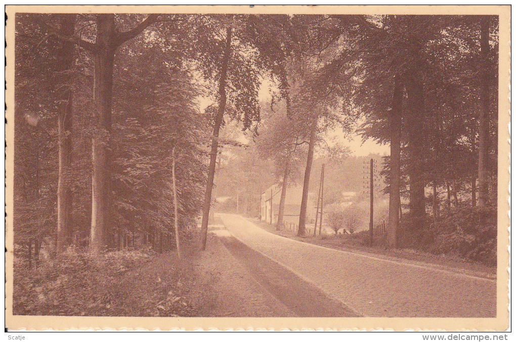 Grez-Doiceau.  -  Environs De Grez-Doiceau;  A L'entrée Du Bois De Beausart - Grez-Doiceau