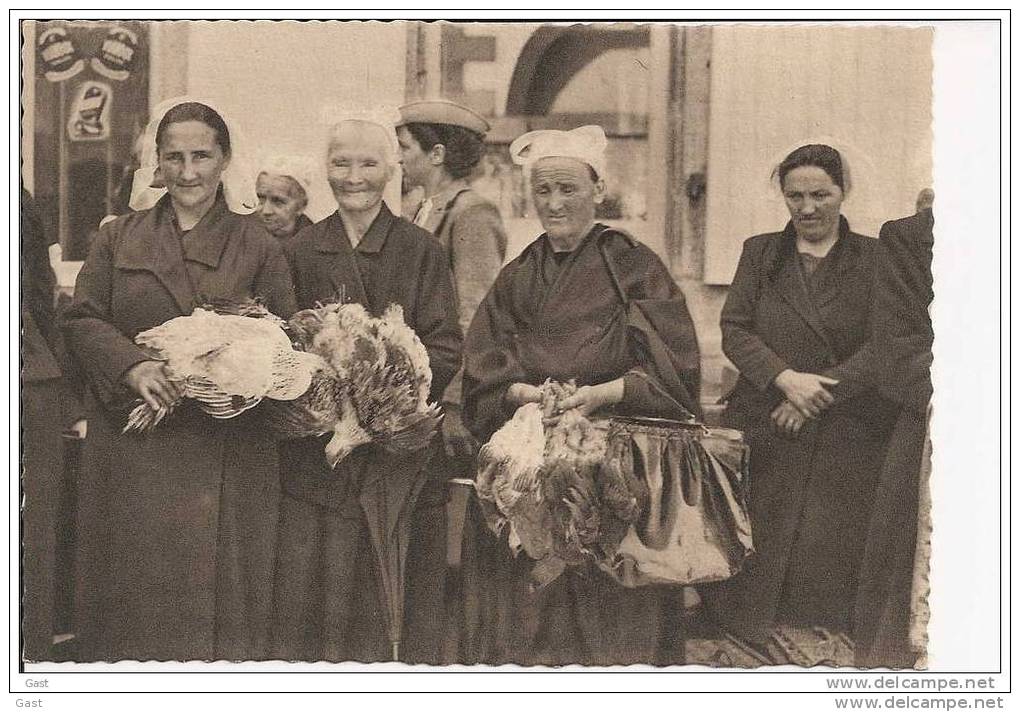 LANDIVISIAU                   AU  MARCHE           MARCHANDES     DE       POULETS - Landivisiau