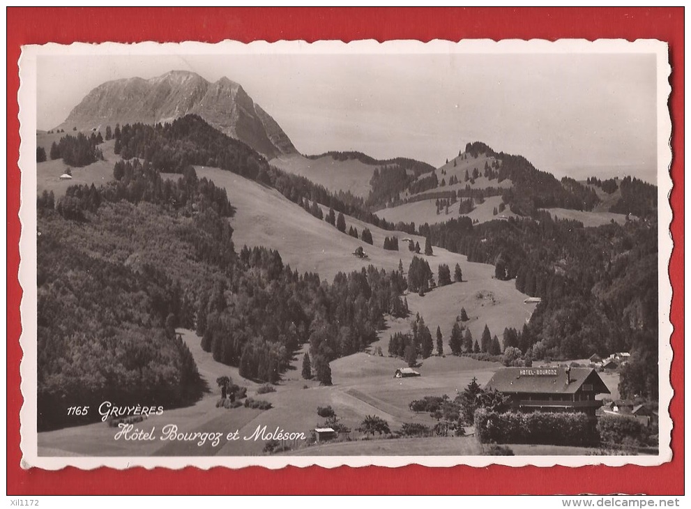 AFR-010 Gruyères, Hôtel Bourgoz Et Moléson.  Circulé Vers Fribourg - Fribourg