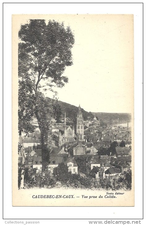 Cp, 76, Caudebec-en-Cau, Vue Prise Du Calidu - Caudebec-lès-Elbeuf