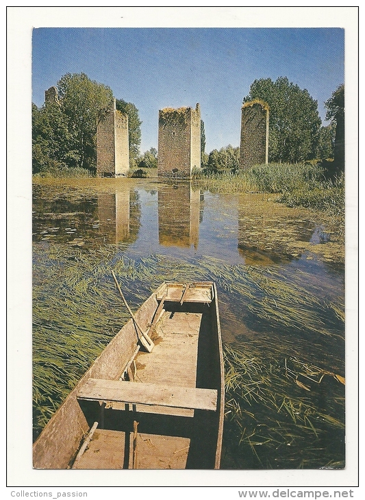 Cp, 86, Lussac-les-Châteaux, Ruines Des Quatre Piles Du Pont Levis Du Château - Lussac Les Chateaux