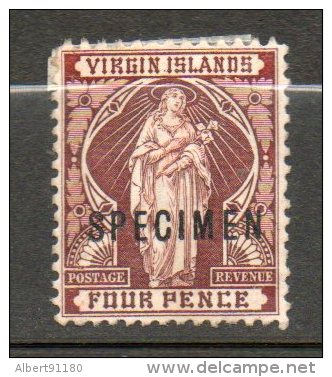 ILES VIERGES  La Vierge  4p Marron 1899 N°23 - British Virgin Islands