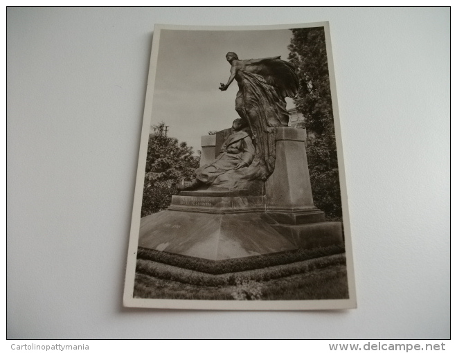 Monumento Ai Caduti Novi Ligure Scultore E. Rubino Primo Piano Fotografico - Monumenti Ai Caduti