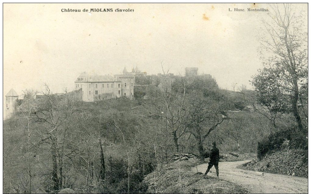 ST PIERRE D ALBIGNY  ( St P D´alb) "  Château De Miolans " - Saint Pierre D'Albigny