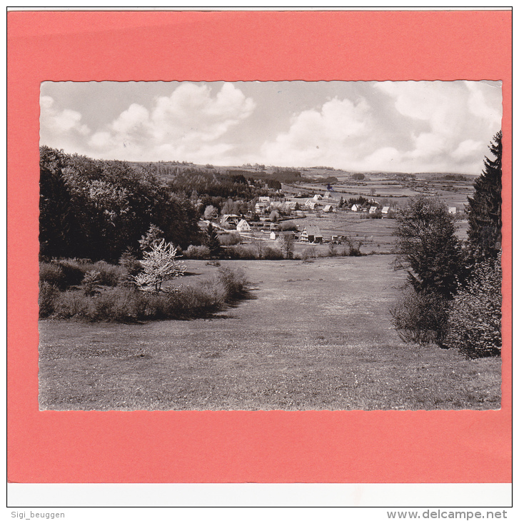 AK / Hochwaldhausen - Der Schöne Vogelsberg  / Ilbeshausen - Grebenhain / Gelaufen 1954 / Schwarzweiß - Vogelsbergkreis