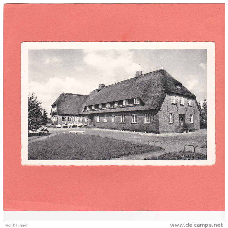 AK / Theodor Storm Jugendherberge - Husum / Nordsee / Nordfriesland / Von 1955 / Schwarzweiß - Husum