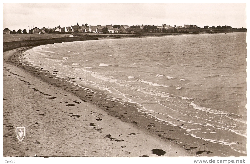 île D'ARZ - Plage De La Falaise - éditions Du LYS - Années 50 - VENTE DIRECTE - Ile D'Arz