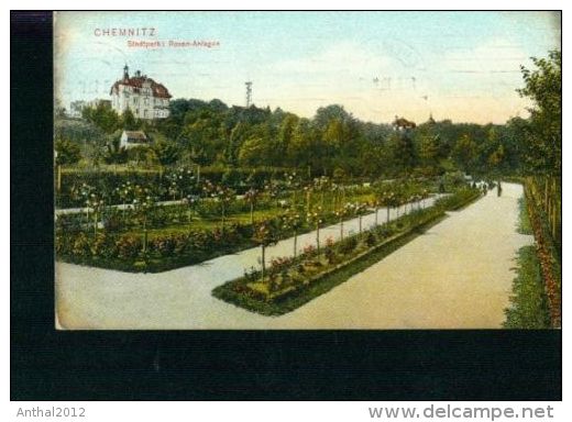 Litho Chemnitz Stadtpark - Rosen-Anlagen Personen 20.3.1910 Nach Borna - Chemnitz