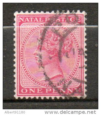 NATAL  Victoria 1p Rose 1874-80 N°29 - Natal (1857-1909)