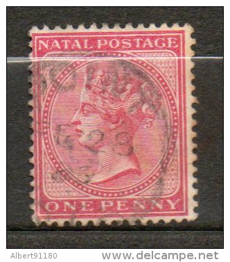 NATAL  Victoria 1p Rose 1874-80 N°29 - Natal (1857-1909)