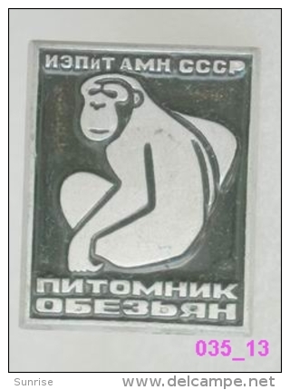 Animals: Monkey, Ape (apery The Russia Academy Of Sciences) / Old Soviet Badge _035_an3593 - Animals