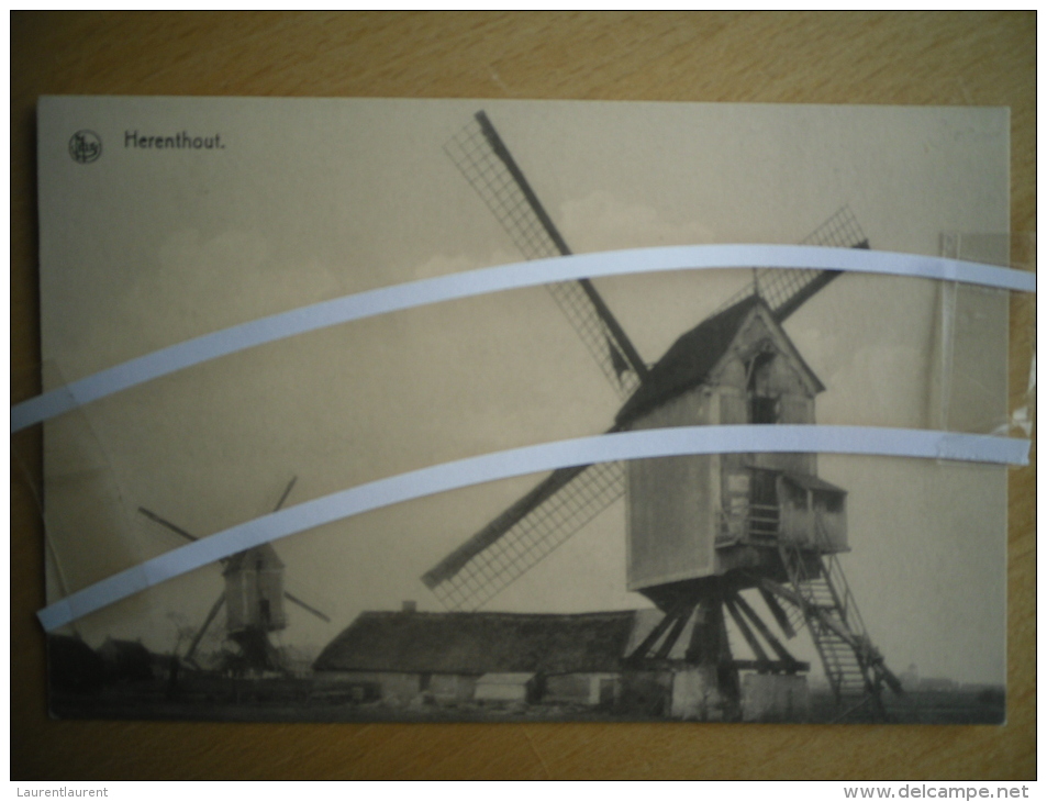 HERENTHOUT _ Molen, Moulin - Herenthout