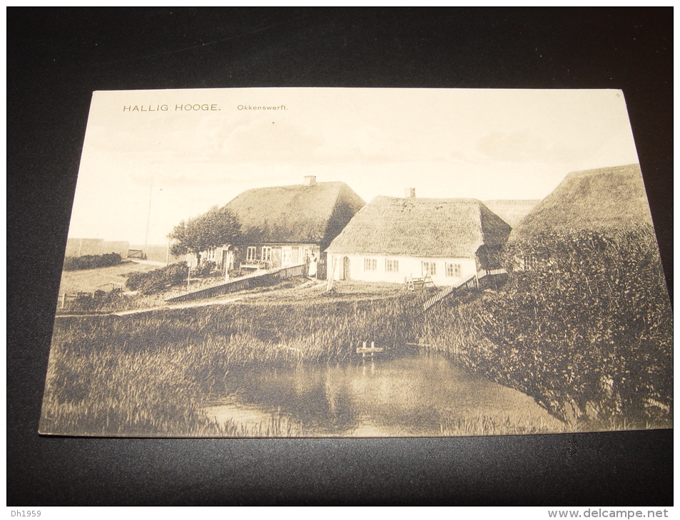 HALLIG HOOGE OKKENWERFT PHOTO WYK - Halligen