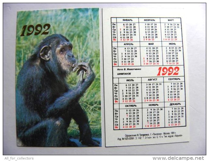 Small Calendar From Russia 1992 Year, Animal Fauna  Monkey Chimpanzee, - Kleinformat : 1991-00