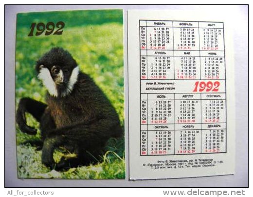 Small Calendar From Russia 1992 Year, Animal Fauna  Monkey - Kleinformat : 1991-00