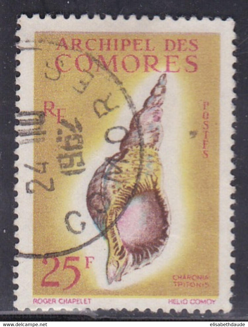 COMORES - 1962 - YVERT N°24 OBLITERE - COTE = 16 EUR - COQUILLAGES - Gebruikt